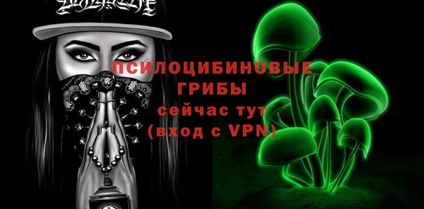 Альфа ПВП Алзамай