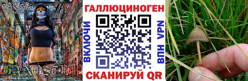 Купить закладки  Кемерово  Псилоцибиновые грибы Magic Shrooms 